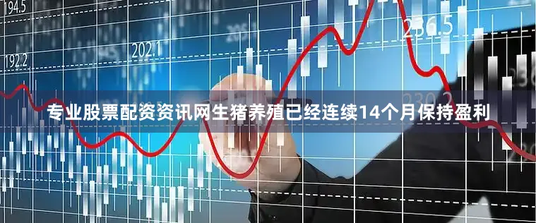 专业股票配资资讯网生猪养殖已经连续14个月保持盈利
